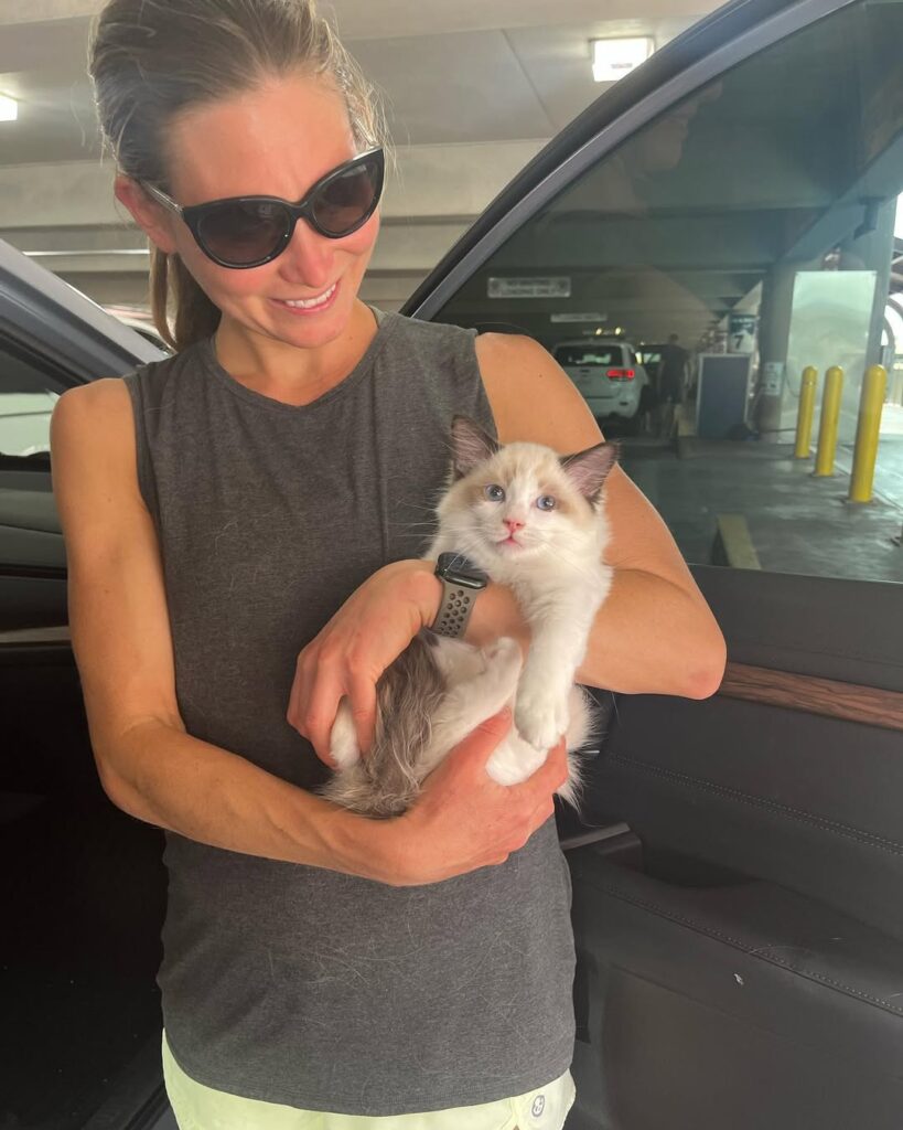 Fluffy Hearts Ragdolls img4